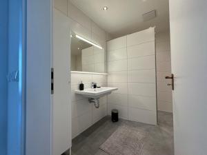 W łazience znajduje się umywalka i lustro. w obiekcie Ruhrgebiet-Apartments in Duisburg Stadtmitte w mieście Duisburg