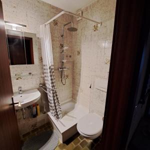 a bathroom with a shower and a toilet and a sink at Apartment Wiesener in Büsum