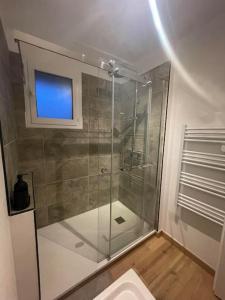 a bathroom with a glass shower with a toilet at Maison mitoyenne 60m2 en campagne in Montailleur +45 photos