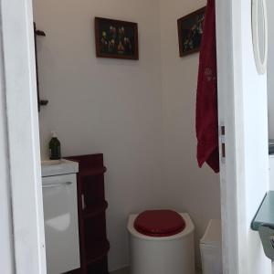 a bathroom with a toilet with a red lid at Charmant petit studio avec jardin et piscine in Nîmes