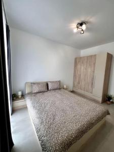 een slaapkamer met een groot bed in een kamer bij Peace and Gratitude in Oradea