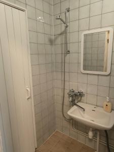 La salle de bains est pourvue d'un lavabo et d'une douche. dans l'établissement Viettola, à Pielavesi