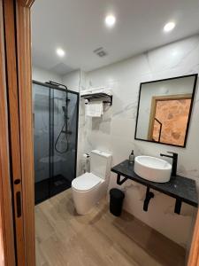 a bathroom with a toilet and a sink and a shower at San Fernando 33 in Córdoba