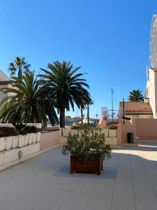 a courtyard with palm trees and plants on a building at Studio Centre Port avec piscine résidence Port Richelieu in Cap d'Agde