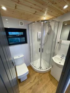 a bathroom with a shower and a toilet and a sink at Maple Lodge Quirky Salvaged Railway Carriage with Hot Tub in Boston