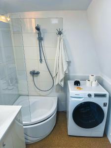 a bathroom with a toilet and a washing machine at Pontonul de pe Dunăre Giurgiu in Giurgiu