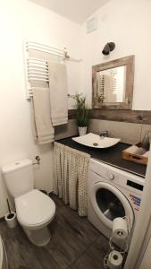 a bathroom with a toilet and a sink and a washing machine at Apartamenty Nova na Krakowskiej No 3 in Bielsko-Biała