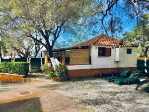 a small house with a bench in a yard at Blu Med in Palinuro +22 photos