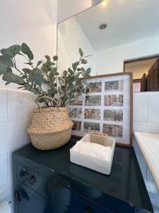 圣萨尔瓦多RN Villa - San Benito的相册照片