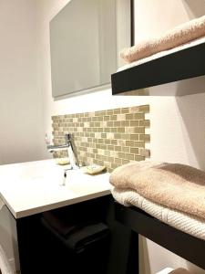 een badkamer met een wastafel en een spiegel bij Appartement de standing- hyper centre in Sens