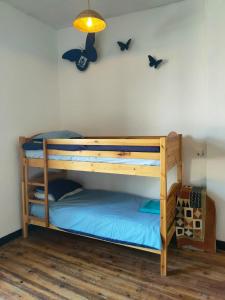 Kaya Rentals في بيلفيس: سرير بطابقين في غرفة مع خفافيش على الحائط