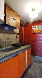 a kitchen with a sink and a counter top at Ecos del Alma - Casas de Campo in Tupungato