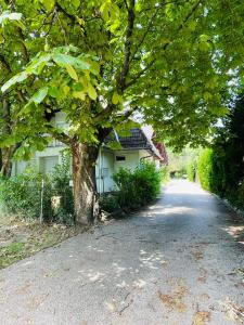 un albero davanti a una casa con vialetto di Klebi’s Apartmanház 20 a Balatonföldvár Altre 36 foto