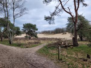 a dirt road in a field with trees at Timmershoeve in Vorstenbosch