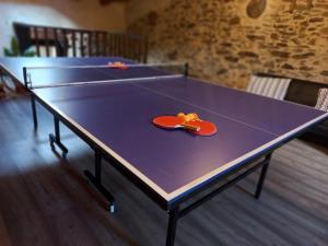 una mesa de ping pong con dos pelotas de ping pong. en Casa Rural La Moraquintana, en Santibáñez el Bajo