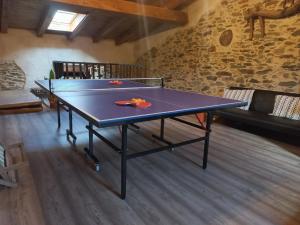 a ping pong table in the middle of a room at Casa Rural La Moraquintana in Santibáñez el Bajo