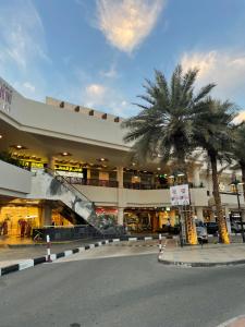 a shopping mall with palm trees in front of it at JVD Apartment in Dubai