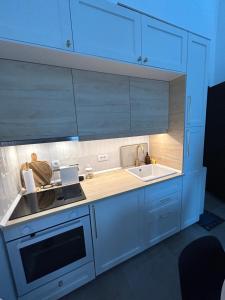 Kuhinja ili čajna kuhinja u objektu Apartman Zir