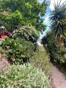 a garden with various plants and trees on a path at Tiny House au coeur des Combes in Seillans