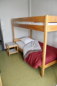 a bedroom with a bunk bed with a ladder at AUBERGE DE JEUNESSE in Colmar