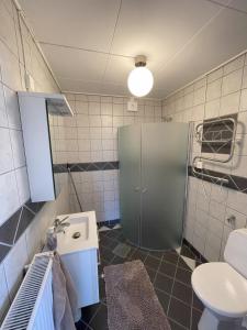 a small bathroom with a sink and a toilet at Vänsö in Sankt Anna