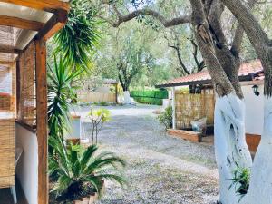 a backyard with a tree and some plants at Blu Med in Palinuro
