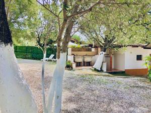 a group of trees in a yard with a house at Blu Med in Palinuro