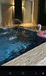A piscina em ou perto de شاليهات الجوري