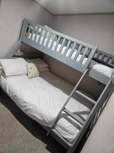 a bunk bed with a ladder and a bunk bed with a pillow at Loch View 30 in Stranraer
