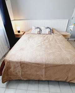 1 cama grande en un dormitorio con 2 almohadas en LE PETIT SARMENTIN, en Saint-Romain-sur-Cher