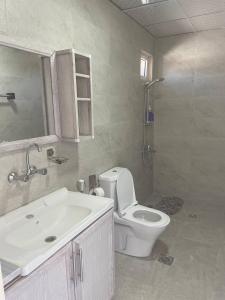 a bathroom with a toilet and a sink and a shower at Heritige Inn Jordan in Ad Dimnah +30 photos