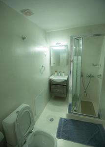 W łazience znajduje się prysznic, toaleta i umywalka. w obiekcie To PAPPOUDIKO CHIOS w Chios