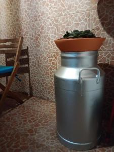 een grote pot met een plant erop bij Casa da Rosarinha in Água de Alto
