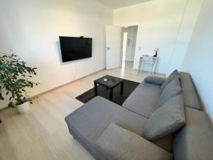TV a/nebo společenská místnost v ubytování Apartment Central 85I 55 qm Wi-Fi free