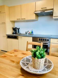 - une cuisine avec une table et une plante en pot dans l'établissement Ferienwohnung, à Albstadt