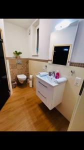La salle de bains est pourvue d'un lavabo et de toilettes. dans l'établissement Ferienwohnung, à Albstadt
