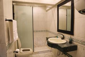 een badkamer met een wastafel, een douche en een toilet bij TOUT KING PYRIMDS VIEW in Caïro