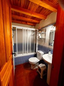 une salle de bains avec toilettes et lavabo dans l'établissement CASA RURAL LA SERROTA, à San Martín de la Vega del Alberche