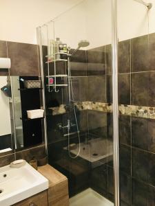 La salle de bains est pourvue d'une douche avec une porte en verre. dans l'établissement Belle chambre avec cuisine et salle de bain à la porte de Paris, à Ivry-sur-Seine