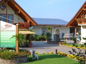 a dog sitting in the grass in front of a building at Vakantiewoning in Zwarte Woud in Eichstetten