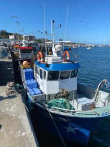 un bateau bleu et blanc garé à un quai dans l'établissement Cosy House in Porto Marina, à Vila Nova de Gaia