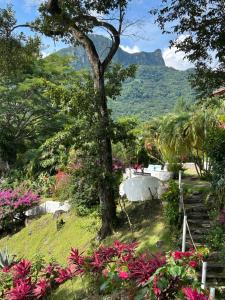 a tree in the middle of a garden with flowers at Apartment with loft in Altos del Maria in Sorá