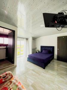 Tauramena的住宿－Hotel Campestre Morichal，一间卧室设有一张床,天花板上配有电视。