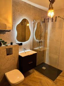 a bathroom with a shower and a toilet and a sink at okuninkapokoje in Okuninka