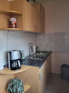 una cocina con cafetera en una encimera en Apartment - Gästewohnung - Unterkunft Monteure, en Chemnitz