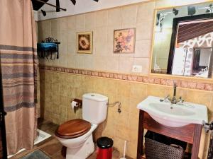 un baño con inodoro y lavabo en Casa Canaria Drago in Icod de los Vinos, en Icod de los Vinos 16 fotos más