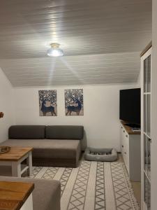 uma sala de estar com um sofá e uma televisão de ecrã plano em Bella Mura Nature Apartment Lipa 97 em Podčetrtek