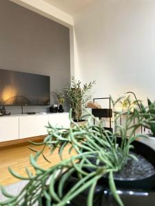 A television and/or entertainment centre at Apartman Riva