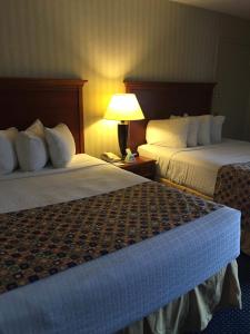 a hotel room with two beds and a lamp at Hotel Pentagon in Arlington