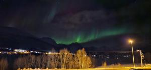 an aurora in the sky over a city at night at Ramfjord Apartment in Tromsø